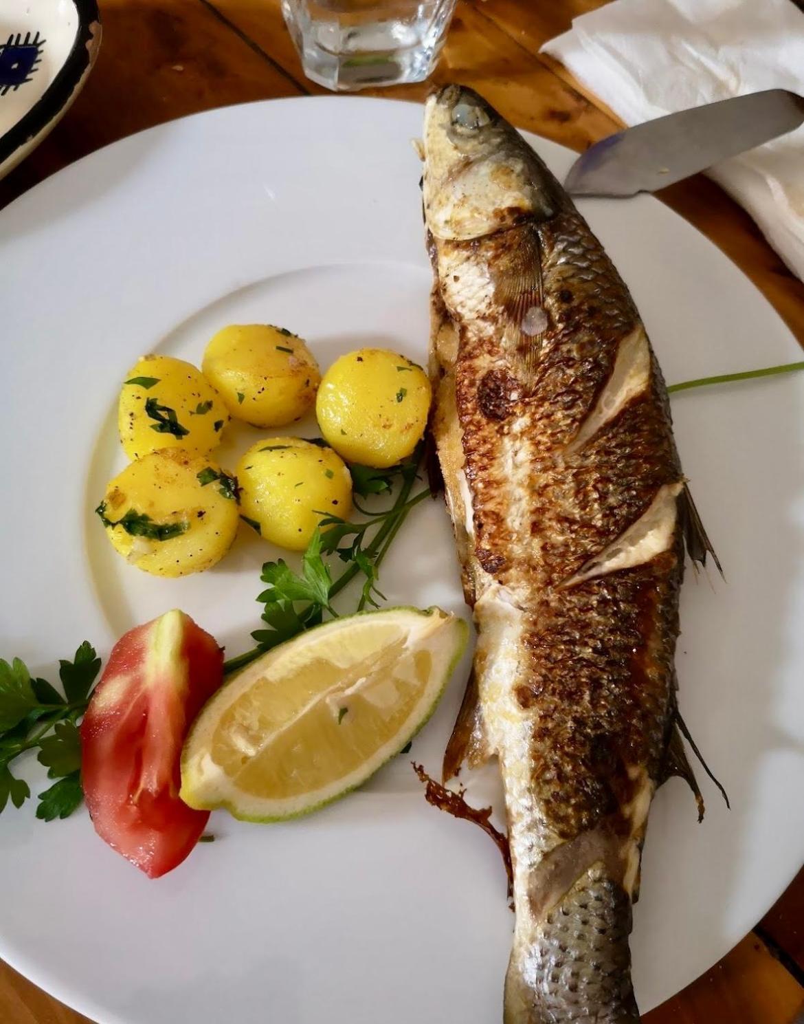 Hotel L'Artisan Harqalah Zewnętrze zdjęcie